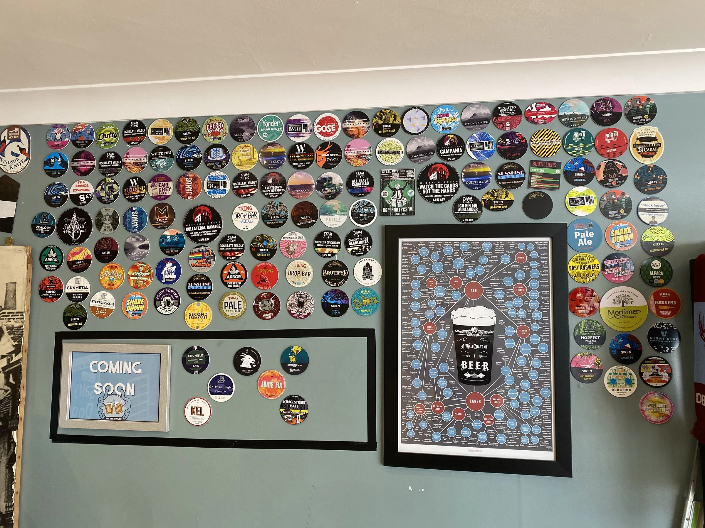The wall of beer coasters and pump clips inside Trekkers